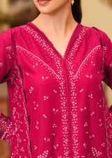 Close-up of a person wearing a pink embroidered traditional outfit with a blurred background