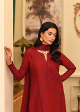 Woman in a red embroidered dress standing in an indoor setting with decorative elements.